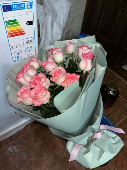 Красивые цветы розы