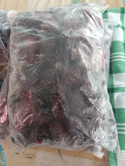 Заморозка, заморозка