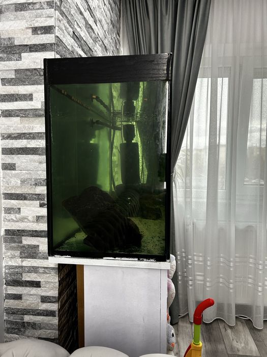 Vand acvariu mare, circa 180L cu toate accesorile.