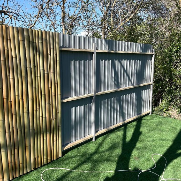 Бамбук первые в казахстане  декор