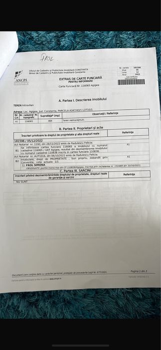 DE Vanzare tern steau de mare 2