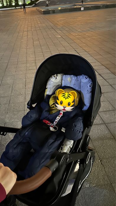 Коляска трасформер tomix