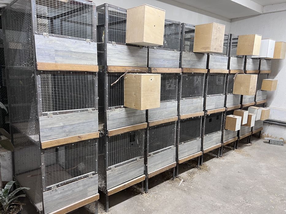 Клетки для разведения попугаев