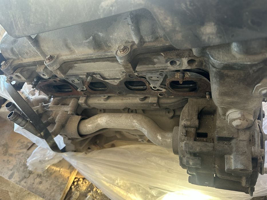 Wevralet kaptiva mai jemidi