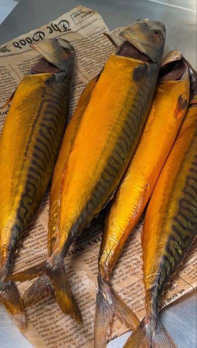 Скумбрия хк оптом