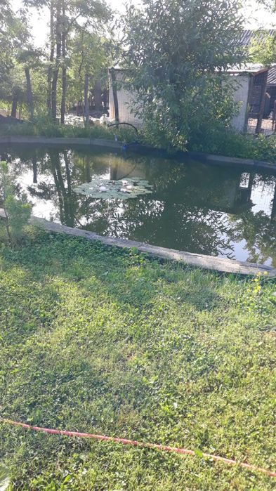 Okazie 2 case plus 6000mp teren