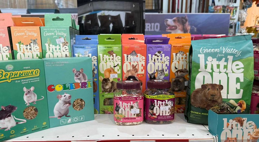 Грызуны в Зоомире