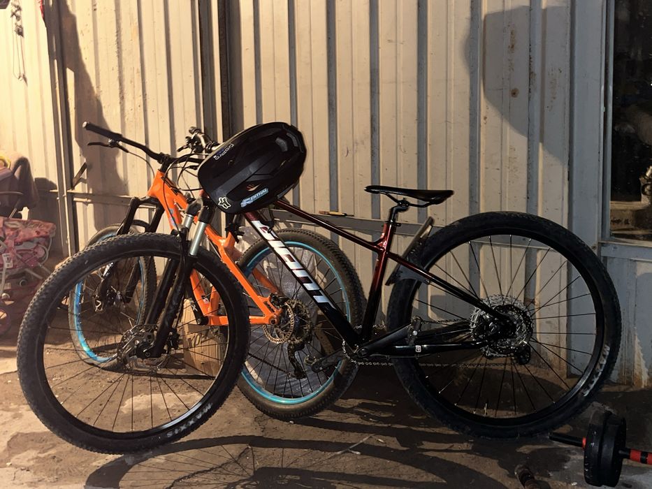 Giant talon 0 2026 “29
