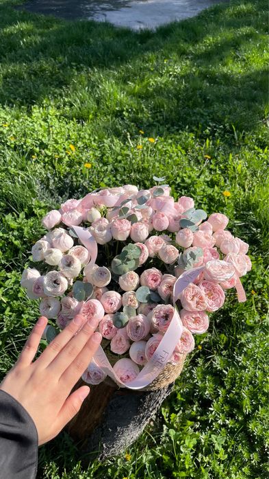 цветы очень красивые