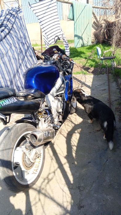 Yamaha r6 2000 года