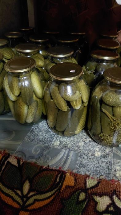 Продам соленье свежие