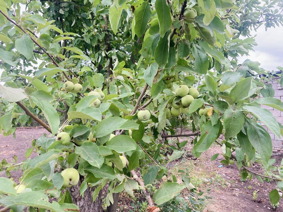 Продам земельный участок