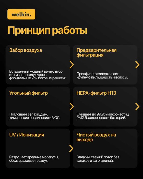 Очиститель воздуха Welkin + увлажнитель