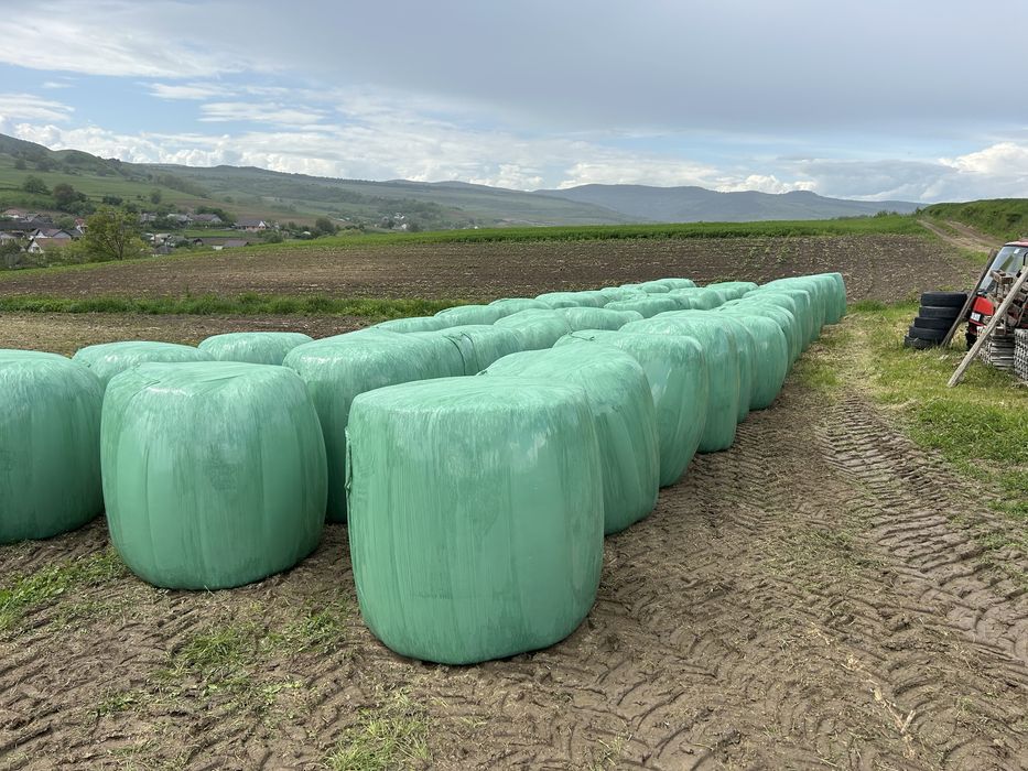 Baloti de lucerna  infoliati 130x120