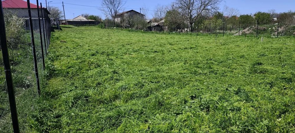 Teren intravilan 1402 mp Dulcești (23 August) | Asfalt | Utilități la gard