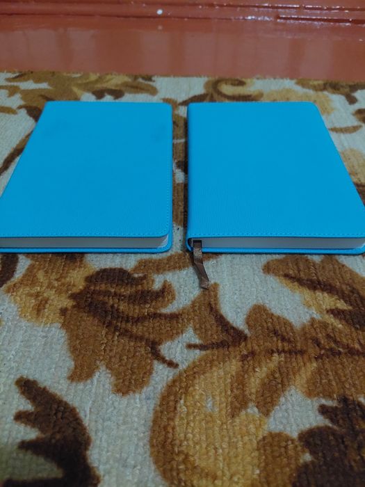 Ежедневник.                  .            .