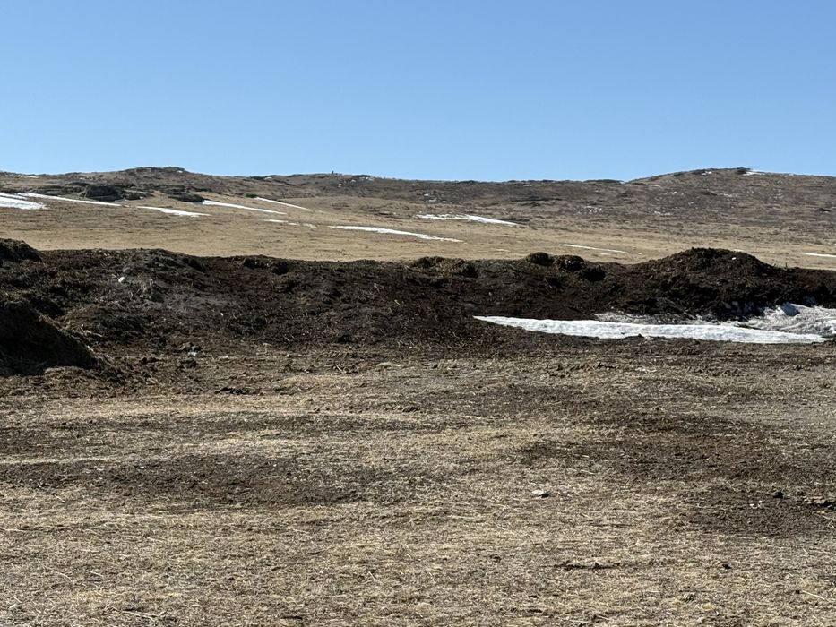 Чернозем, перегной. Көн.