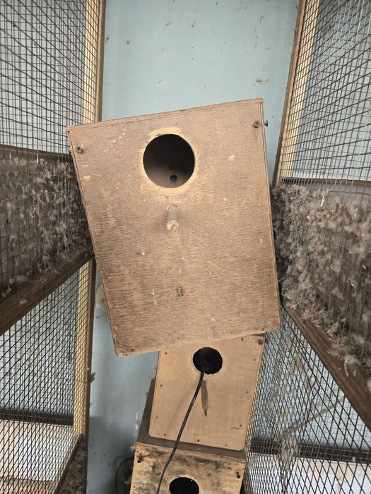 Дуплянки для попугаев