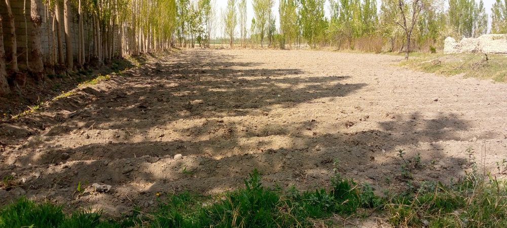 15 sotikli chek sotiladi