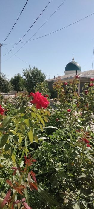 Учаска сотилади срочна Uchastka sotiladi srochna narxni kelisjamiz