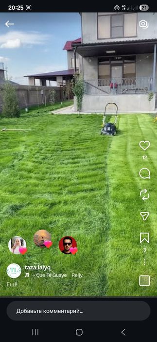 Газон және Шөп орамыз