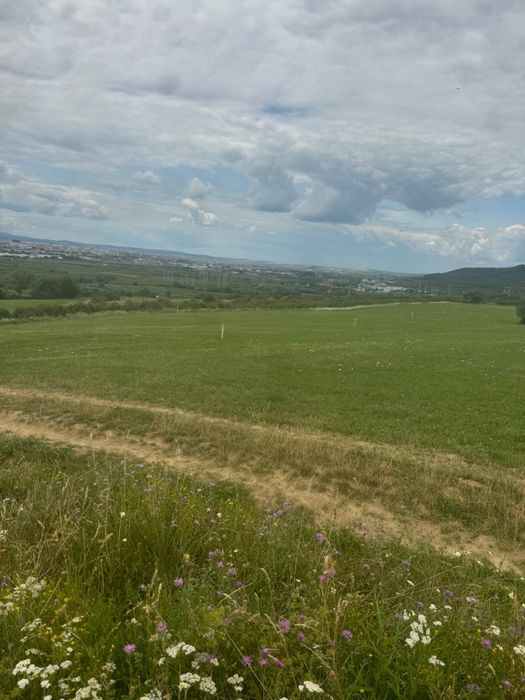 Teren de 500mp intre Zorabia si satul Bungard