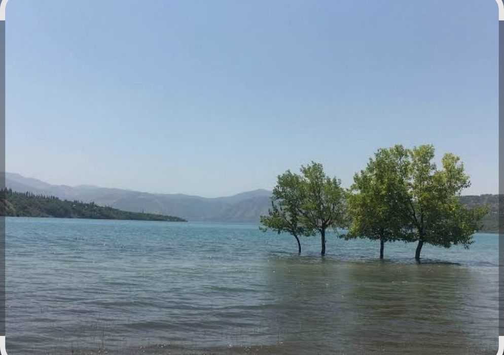 Сижжакда дача учун ховли сотилади 4.5 сотх 30 минг срочна