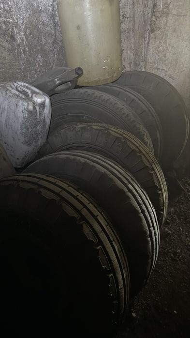 Юмз 6 1980 года с куном