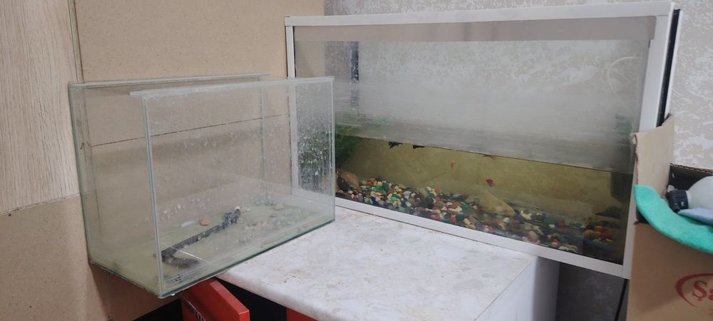 2 аквариум с рыбками