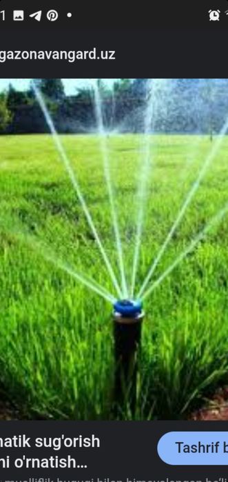 Gazonga suv sepadigan fantan nasatkalari  sotiladi.