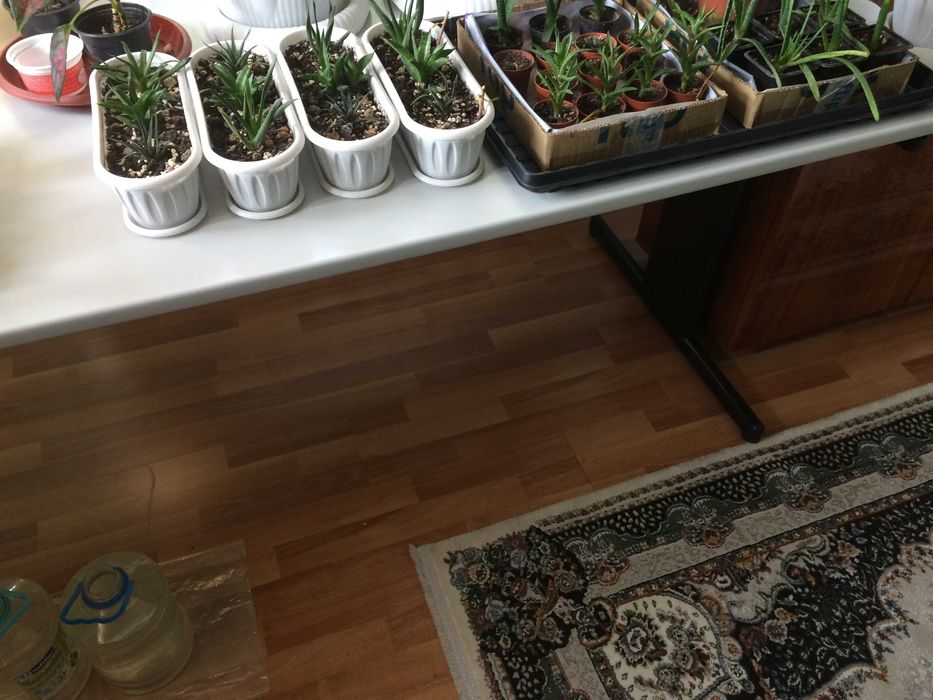 столик  стеклянный  под телевизор