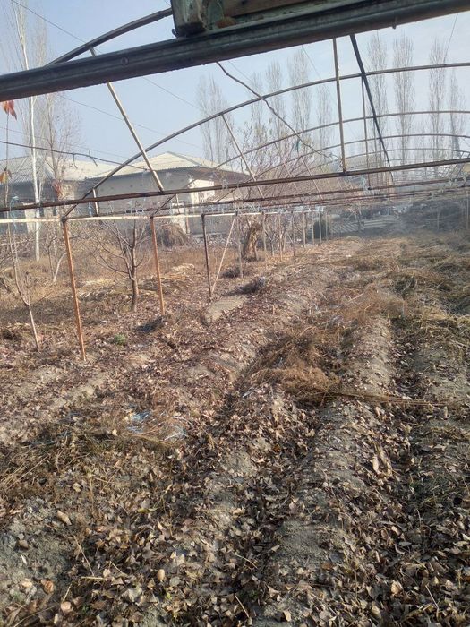 Dehqonchilik parnik qilaman deganlar uchun tayyor material