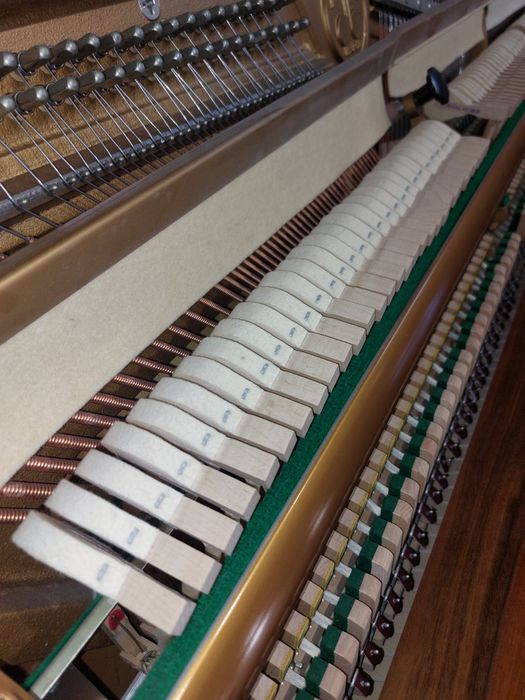 Pianina Maeari (transport gratuit  & garanție)