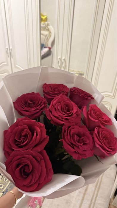 Қызыл Роза гүл арзан бағада сатылады