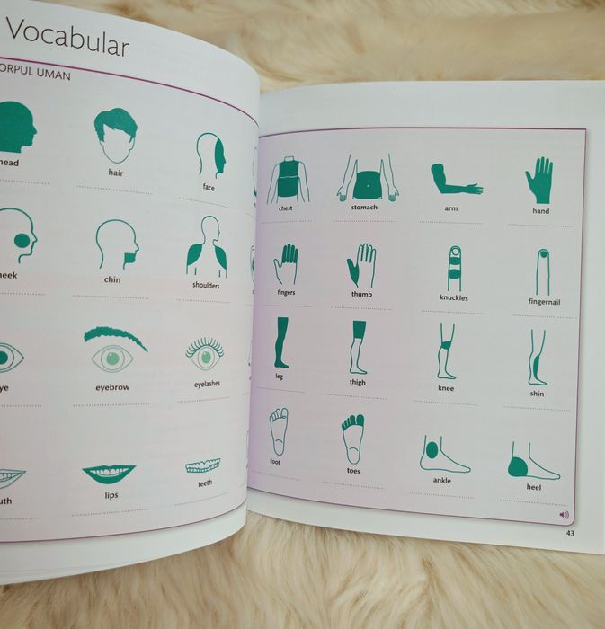 Curs practic English for everyone 2