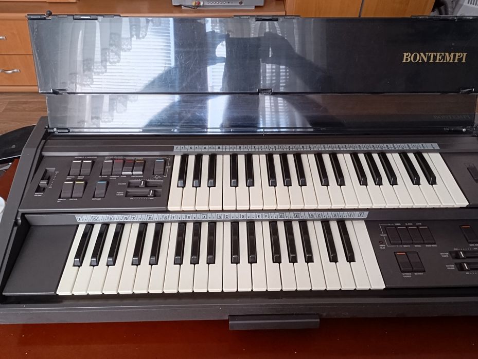 Електронен двуредов орган