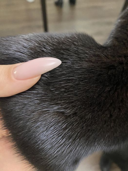 Шуба норковая