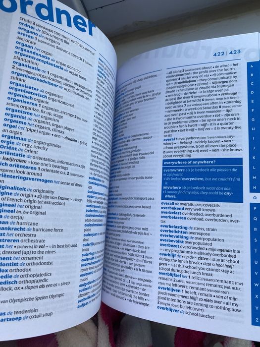 Dictionar neerlandez-englez