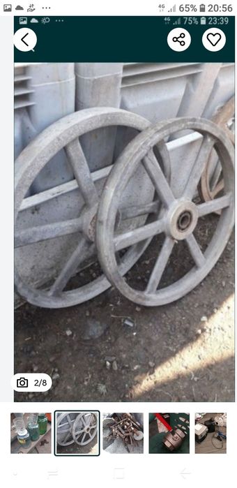 Cantar apicol,bacuri menghina,panza circular,roti banzic,capace dacai