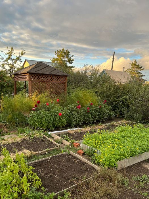 Продам дачу, Краснояские дачи