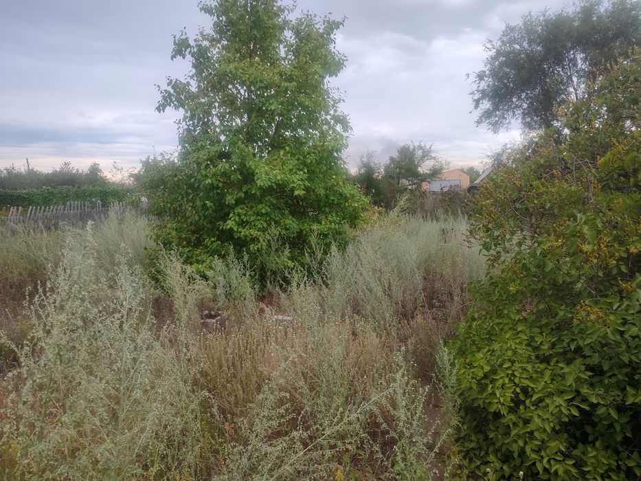 ЯБЛОНЬКА Есть торг продам дачу