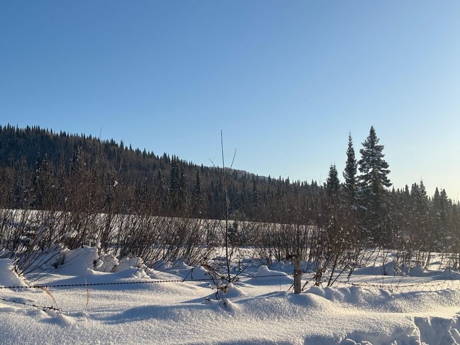 Дом в лесу Топиха