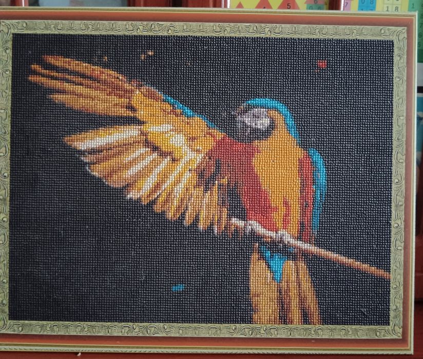 Картины по номерам 5000