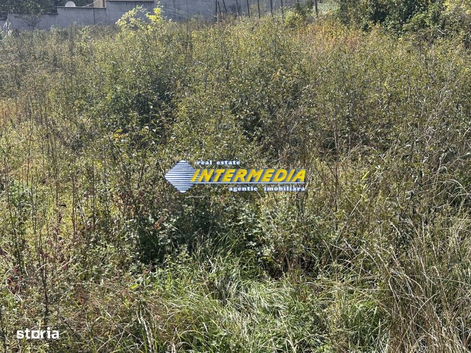 Teren intravilan I de vanzare I in Cetate I zona superba I 500 mp I