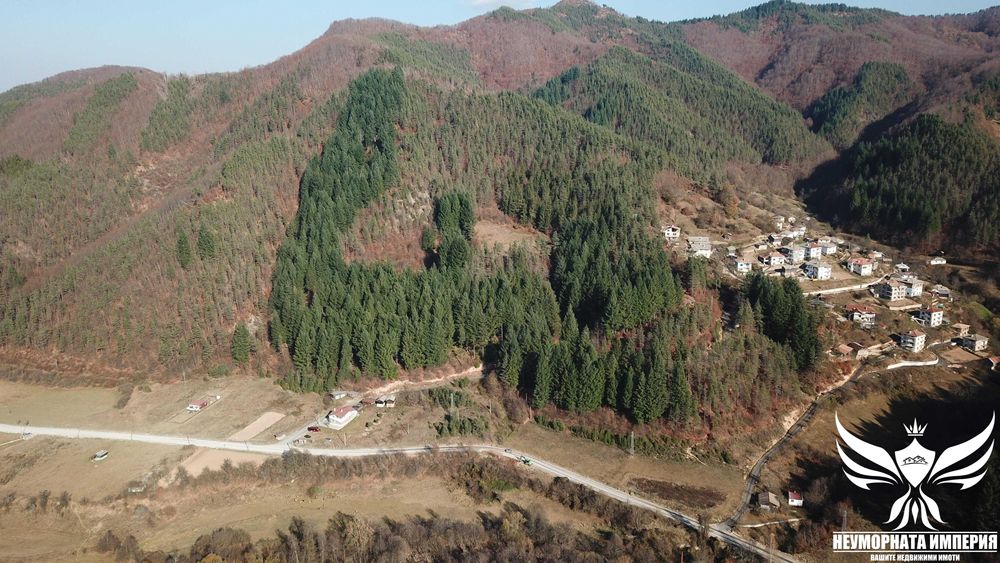 Продава се Парцел в с. Елховец, Област Смолян - 11000 кв.м за 2 €/кв.м - Снимка #5