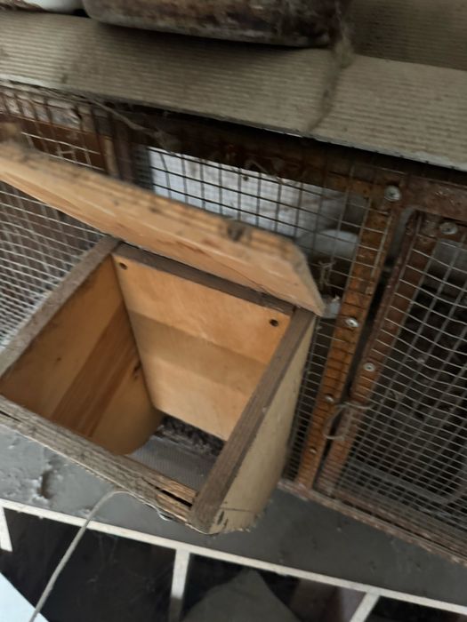 Продам клетки для кроликов
