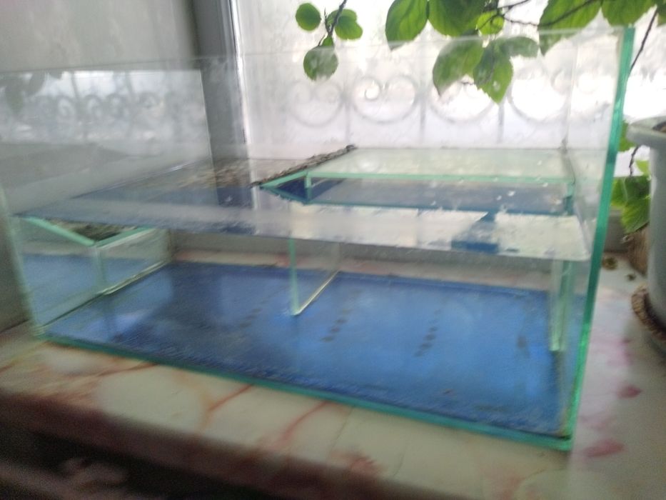 Терариум для земноводных