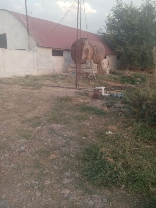 Ohangaron ferma sotiladi