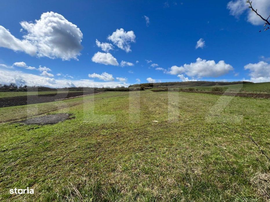 Teren extravilan de vanzare – 25 ari, panorama superba, la doar 8 km