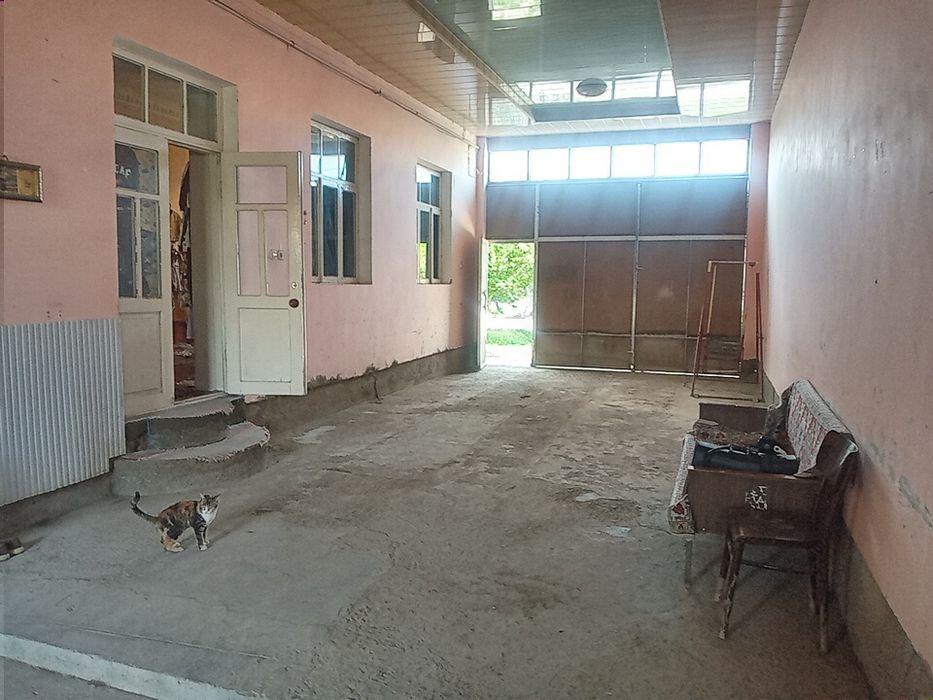 Кармана туманида 10 сутихли ховли